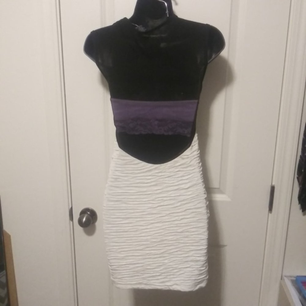 Sale- NWT Black and white sheer plunge cocktail dress - Picture 4 of 8
